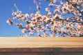 Wooden rustic table in front of spring white cherry blossoms tree. vintage filtered image. product display and picnic concept Royalty Free Stock Photo