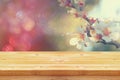 Wooden rustic table in front of spring white cherry blossoms tree. Royalty Free Stock Photo