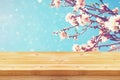 Wooden rustic table in front of spring white cherry blossoms tree Royalty Free Stock Photo