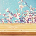 wooden rustic table in front of spring white cherry blossoms. Royalty Free Stock Photo