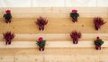 Wooden rustic wall decorated with violet flowers potted
