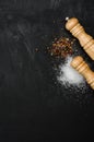 Wooden salt shaker and pepperbox on black chalk board. Royalty Free Stock Photo