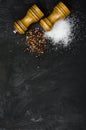 Wooden salt shaker and pepperbox on black chalk board. Royalty Free Stock Photo