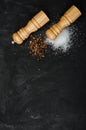 Wooden salt shaker and pepperbox on black chalk board. Royalty Free Stock Photo