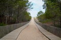 Wooden sandy pathway access to Cap-Ferret sea beach in gironde france Royalty Free Stock Photo