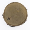 Wooden saw cut of an old birch, top view, cutting board,