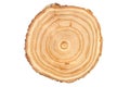 Wooden saw cut of a tree silt with a pronounced pattern of annual rings on a white background Royalty Free Stock Photo