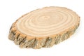 Wooden saw cut of a tree silt with a pronounced pattern of annual rings on a white background Royalty Free Stock Photo