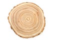 Wooden saw cut of a tree silt with a pronounced pattern of annual rings on a white background Royalty Free Stock Photo