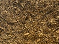 Wooden sawdust background.  chips texture Royalty Free Stock Photo