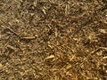 Wooden sawdust background. Royalty Free Stock Photo