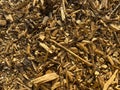 Wooden sawdust background. Wood chips texture Royalty Free Stock Photo