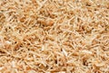 Wooden sawdust texture close up. Abstract background.
