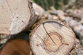 Wooden sawmill pattern, stack of old trunk with cracked wood closeup