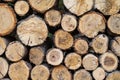 Wooden sawn logs stacked in a rack one on one Royalty Free Stock Photo