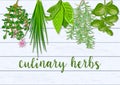 Wooden Scandinavian background of hanging farm fresh culinary hanging herbs. Greenery basil, rosemary, chives, thyme, Royalty Free Stock Photo