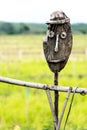 Wooden scarecrow in rice field of Thailand for protect birds eat the crops, Backdrop Rice plants in paddy field Natural green Royalty Free Stock Photo