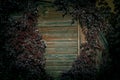 Wooden scary wall made of planks, old empty shabby abandoned house without windows covered with strange ivy, background Royalty Free Stock Photo
