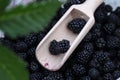 Wooden scoop on a background of ripe blackberries, close-up, bokeh Royalty Free Stock Photo