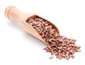 Wooden scoop with flax seeds on white