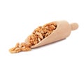 Wooden scoop with tasty walnuts Royalty Free Stock Photo