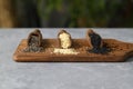 Wooden scoops with chia, black cumin and white sesame seeds close-up. Selective Focus. Royalty Free Stock Photo