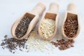 Wooden scoops with chia, flax and white sesame seeds close-up Royalty Free Stock Photo