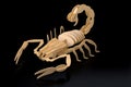 Wooden Scorpion Isolated On Black Royalty Free Stock Photo