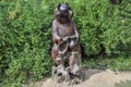 Wooden sculpture of a bear in the arboretum garden Royalty Free Stock Photo