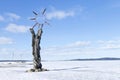 A wooden sculpture Birth of Sun on the quay of Lake Onega in the clear winter day, Petrozavodsk, Russia