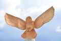 Wooden sculpture of owl. Royalty Free Stock Photo