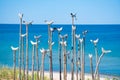 Wooden sculpture of seagulls