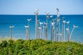 Wooden sculpture of a seagulls