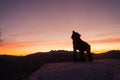 Wooden sculpture of a wolf. Italian landmark at dawn