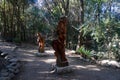 Wooden sculptures placed in a forest