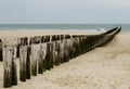 Wooden sea breakers Royalty Free Stock Photo