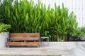 Wooden seat at outsite home with green nature, liveable concept. Royalty Free Stock Photo