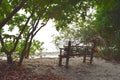 A Wooden Seat in Shade of Green Trees in Littoral Forest on White Sandy Beach - Peace and Relaxation Royalty Free Stock Photo