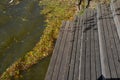 Wooden seating with benches lined with natural wood in the woods by the water. deck terrace by the pond. everything is one piece w Royalty Free Stock Photo