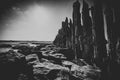 Wooden seawall near the Island Vlieland Sadden sea Friesland, The Netherlands Royalty Free Stock Photo