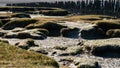 Wooden seawall near the Island Vlieland Sadden sea Friesland, The Netherlands Royalty Free Stock Photo