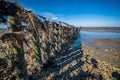 Wooden seawall near the Island Vlieland Sadden sea Friesland, The Netherlands Royalty Free Stock Photo