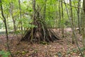 Wooden shack huts shelter used by sex workers prostitution in Bois de Boulogne park