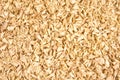 Wooden shavings background Royalty Free Stock Photo