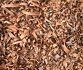 Wooden shavings background Royalty Free Stock Photo