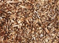 Wooden shavings background pattern Royalty Free Stock Photo