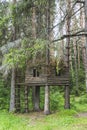 Wooden shed on tree in forest. Royalty Free Stock Photo