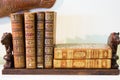 Wooden shelf with old books