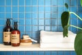 Wooden shelf with shower gel, body lotion, dry massage brush and folded towels Royalty Free Stock Photo