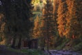 Wooden shelter in the forest in the mountains at sunset, Almaty Butakovskoe gorge in Kazakhstan in summer Royalty Free Stock Photo